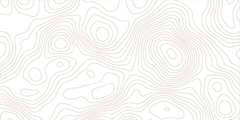 Topography background. Vector banner. Topography map background. Vector geographic contour map. Background of the topographic map. Topographic map lines, contour background.