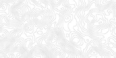 Topography background. Vector banner. Topography map background. Vector geographic contour map. Background of the topographic map. Topographic map lines, contour background.