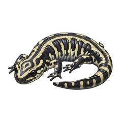 Tiger Salamander Amphibian Isolated Transparent PNG Image