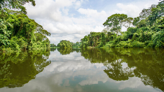 Ballade en pirogue, Tiassalé, Côte d'Ivoire