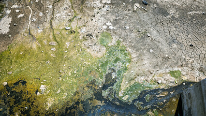Dry Polluted Canal with Algae.