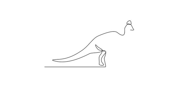 Animated self drawing of Corythosaurus animal video design illustration. Family Dinosaur themes in simple linear style video design concept. Dinosaur for your asset design and educational purpose.