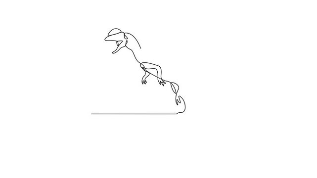 Animated self drawing of Dhiloposaurus animal video design illustration. Family Dinosaur themes in simple linear style video design concept. Dinosaur for your asset design and educational purpose.