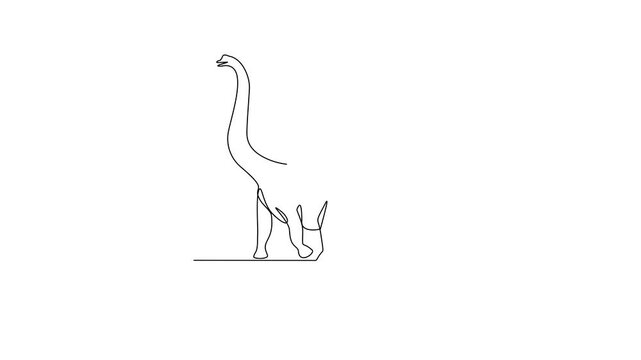 Animated self drawing of Sauropod animal video design illustration. Family Dinosaur themes in simple linear style video design concept. Dinosaur for your asset design and educational purpose.