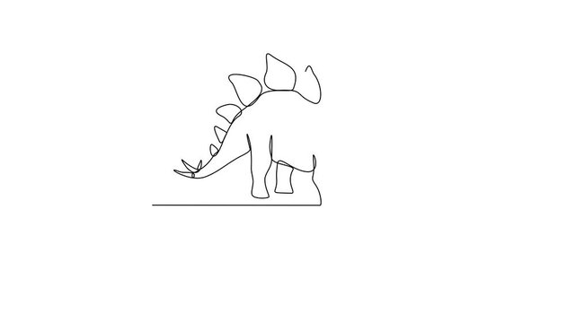 Animated self drawing of Stegosaurus animal video design illustration. Family Dinosaur themes in simple linear style video design concept. Dinosaur for your asset design and educational purpose.