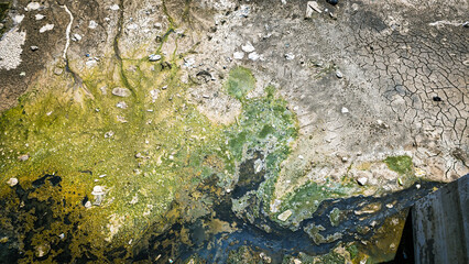 Dry Polluted Canal with Algae.