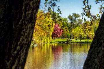 Colorful trees in spring park Stromovka in Prague , Czech republic