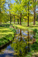 SPing in park Stromovka in Prague, Czech republic