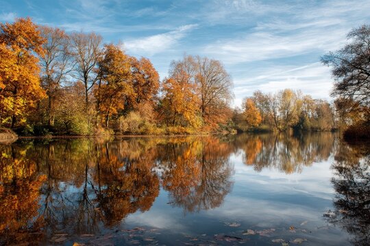 lake with mirror reflection of autumn trees, blue sky, high resolution photograph
