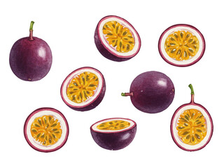 Vector watercolor passion fruit / 水彩テイストのパッションフルーツイラスト