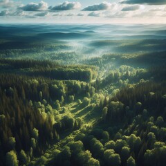 Arafed Forest View Generative for AI