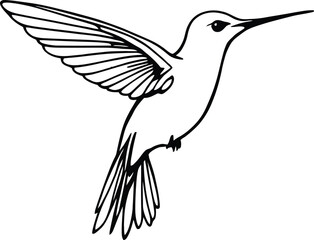 Fototapeta premium Elegant Hummingbird Line Art – Minimalist Black & White Drawing, Nature-Inspired Design | Perfect for Branding, Prints, & Tattoos