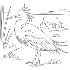heron and cow on white background