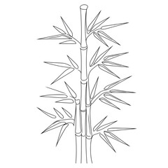 Naklejka premium bamboo isolated on white background