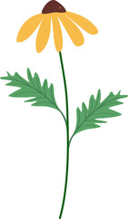 orange flower and leaf