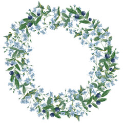 Delicate watercolor wreath of blue angel's-eye flowers, green foliage, and blueberries, forming a circular frame. A perfect blend of nature's elegance and soft botanical charm.