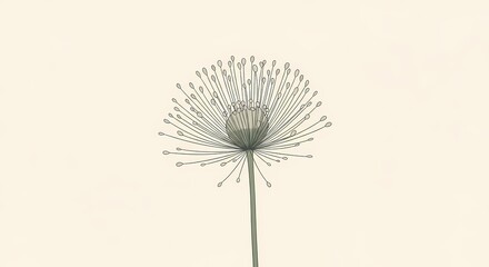 Obraz premium Minimalist botanical illustration of a stylized dandelion seed head against cream background.