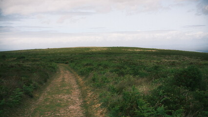 Obraz premium A highly detailed, professional photograph of a dirt path leading to a grassy hill captured with artistic lighting and excellent composition. the scene features under moody and dramatic conditions.