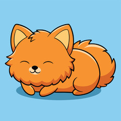 Fototapeta premium Pomeranian sleeping like a tiny puffball, completely adorable and fluffy.