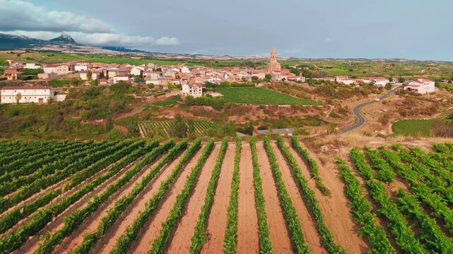 Aerial view of Bilar old town surrounded by beautiful vineyards in Spain