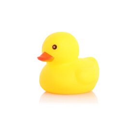 One cute rubber duck on mirror surface against white background