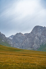 A vertical shot of vast, rolling high-altitude grasslands in varying shades of green and gold, leading up to formidable mountain peaks