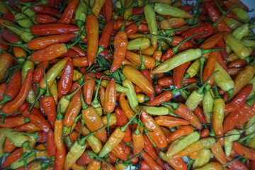 Red, Yellow, and Orange Chili Peppers