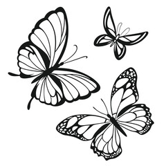 butterfly silhouettes collection, vector  
