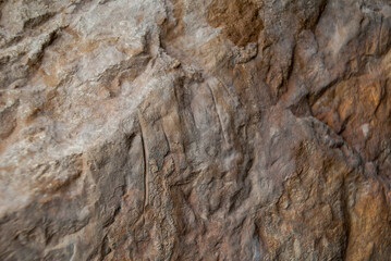 Ancient Paleolithic Rock Carvings 