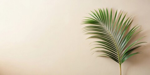 Single palm frond on beige background, simple tropical leaf design element for website or print
