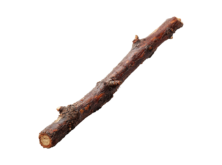 Single dark brown twig isolated on black background, Isolated On Transparent Background