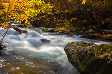 Oirase Stream is a popular place to see autumn leaves in Japan, especially in late October to early November, just before Lake Towada, Tohoku region, Japan