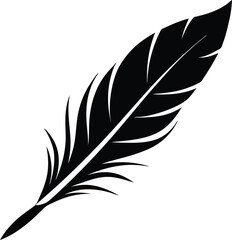 Obraz premium Single Feather Silhouette