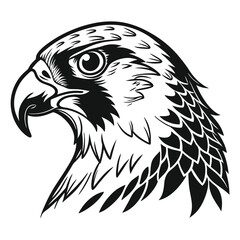 Intricate monochrome falcon head artfully captures the bird's intense gaze and majestic, strong features