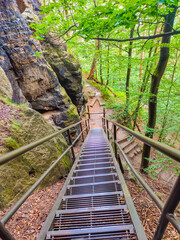 Sandstone rock caves with fern, moss, lichen, with metal stairs at the hiking trail Malerweg, Brandstufen in the national park Saxon Switzerland, Saxony, Germany