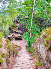 Sandstone rock caves with fern, moss, lichen, with metal stairs at the hiking trail Malerweg, Brandstufen in the national park Saxon Switzerland, Saxony, Germany