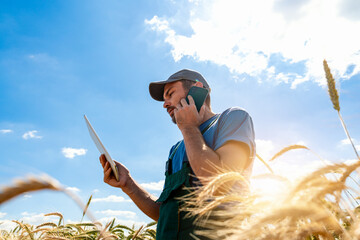 Multitasking male standing in crop field using smartphone and tablet