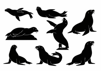Sea lion silhouettes, marine animals, ocean wildlife