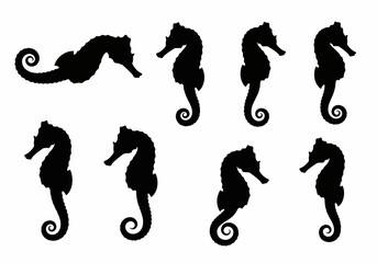 Seahorse silhouettes collection, sea life animal