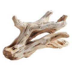 Abstract Driftwood: Striking Natural Art Isolated on White