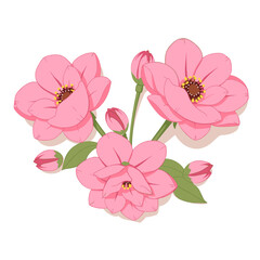 Delicate Pink Blossom Cluster, Spring Floral Illustration