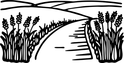 Fototapeta premium Country road winding through wheat fields, rural agriculture landscape, hand drawn nature illustration
