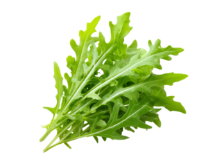 Fresh green arugula leaves isolated on black background, Isolated On Transparent Background
