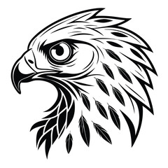 Monochromatic eagle head shows strong features with feathers and sharp contours