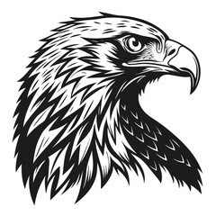 Monochrome eagle head showcases detailed feathering in a powerful, noble depiction