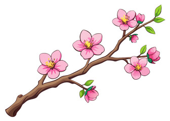 Pink Watercolor magenta cherry blossoms bloom on the branches. Cherry blossom and leaves branch bouquet vector isolated on white background.
