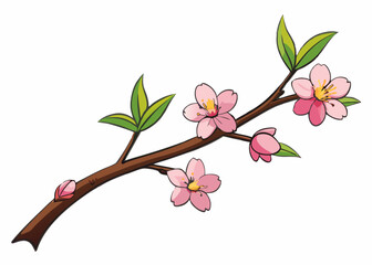 Pink Watercolor magenta cherry blossoms bloom on the branches. Cherry blossom and leaves branch bouquet vector isolated on white background.