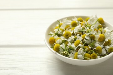 Fresh chamomile flowers in bowl on white wooden table, closeup. Space for text