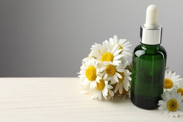 Bottle of essential oil and chamomile flowers on light wooden table against grey background,...