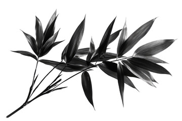 Naklejka premium Dark Bamboo Leaves